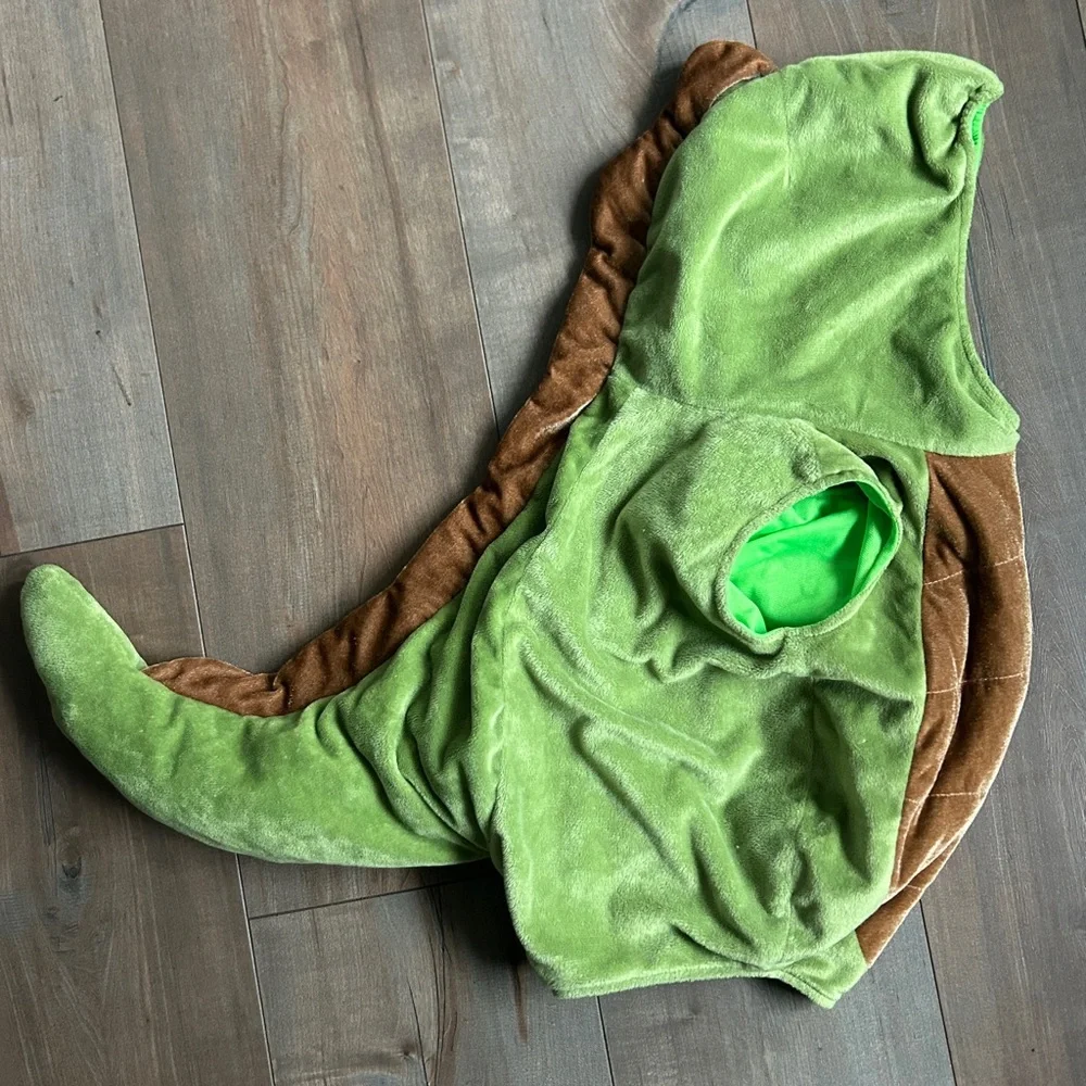 Infant (12-18M) Dinosaur Costume